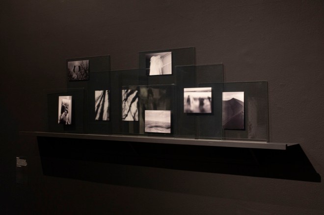 Zanjir_AlejandroAcin_24